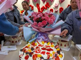 万搏官方注册举办三八妇女节活动